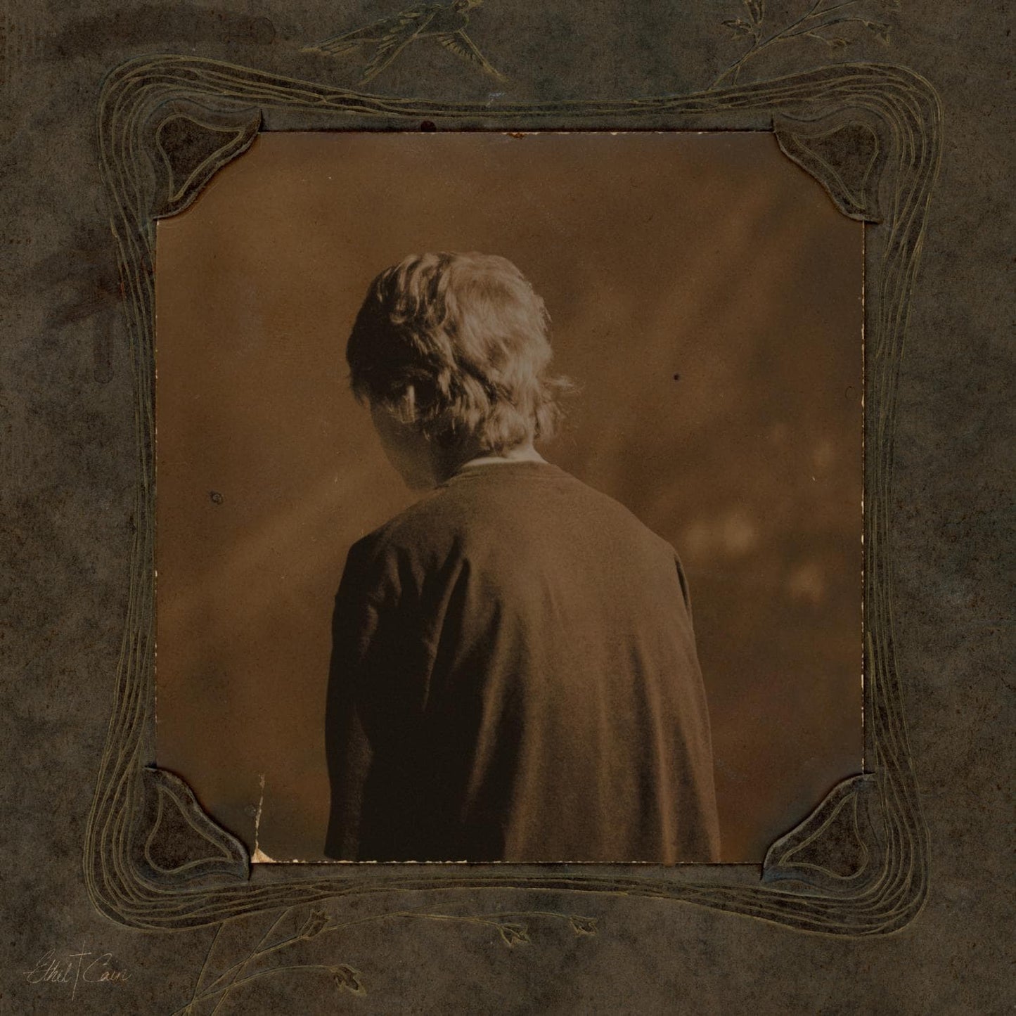 Ethel Cain- Willoughby Tucker, I Will Always Love You