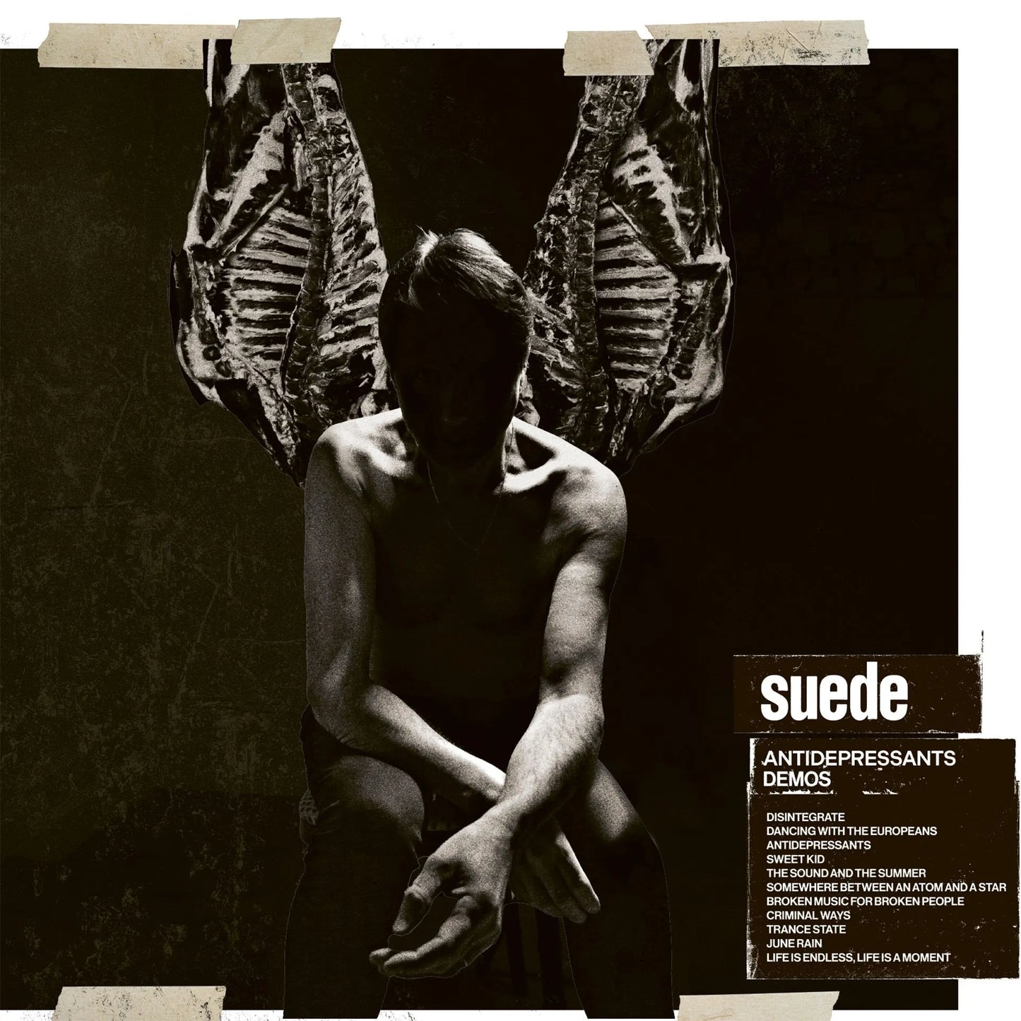Suede- Antidepressants Demos